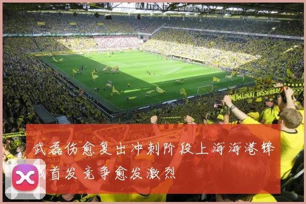 武磊伤愈复出冲刺阶段上海海港锋线首发竞争愈发激烈